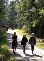 Barn-och-skog-2-PF-red.jpg